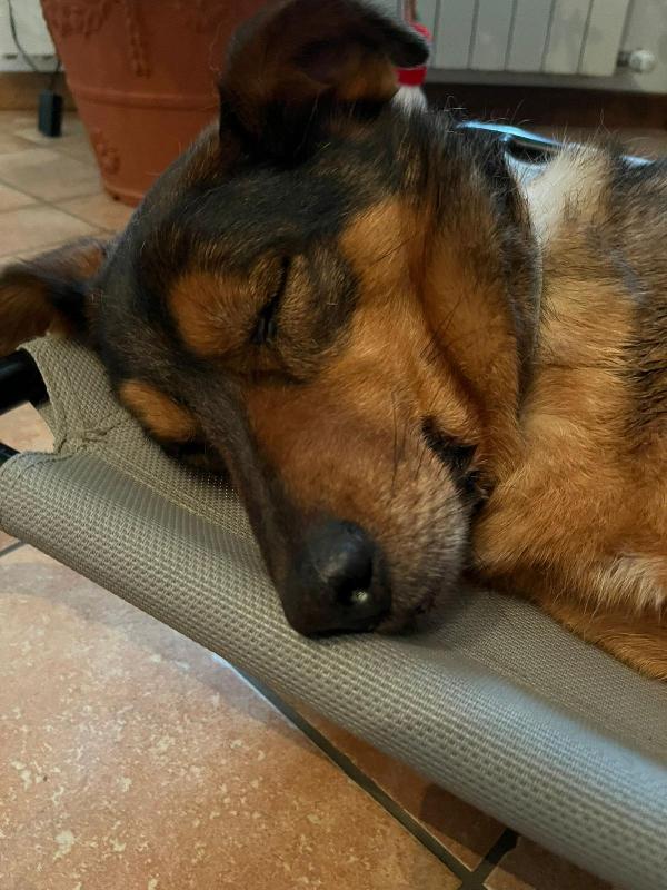 Zeus Foto 3